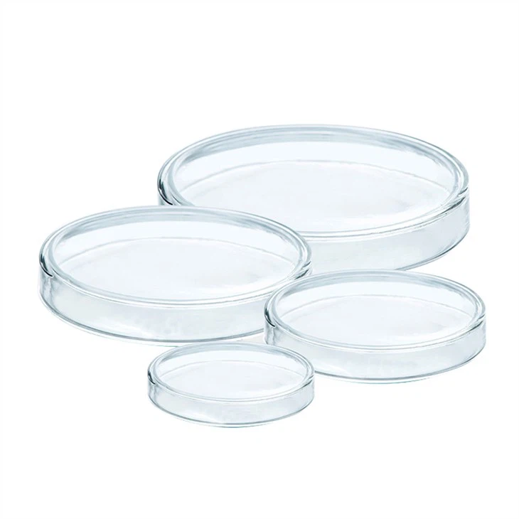 100mm Glass Petri Dish